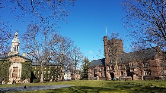 Princeton University